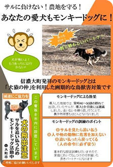 チラシデータサムネイル